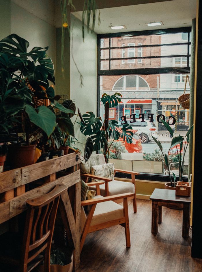 The front window, plants and morning light on the tables